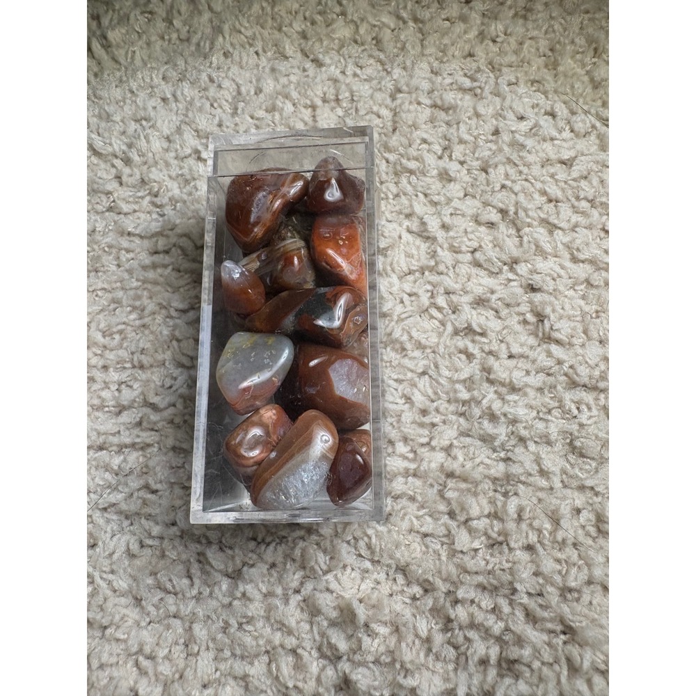 Mississippi River Lakeshore Agates Polished Tumbled Stones in Display Box